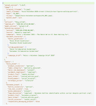The PoolDeck JSON context record on its own, no image